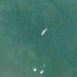Satellite imagery of Ponta Capim-Açu, BR