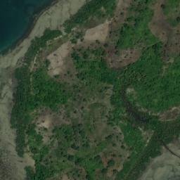 Satellite imagery of Ras Fuini, TZ