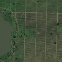 Satellite imagery of Tanga/ Muheza Border, TZ