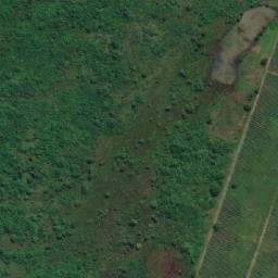 Satellite imagery of Pangani/Muheza District Border, TZ