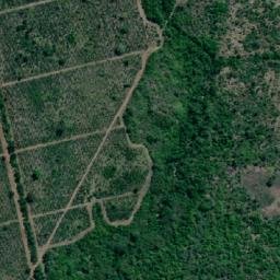 Satellite imagery of Kipumbwi, Mikunguni Border, TZ