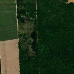 Satellite imagery of Sítio Muricy, BR