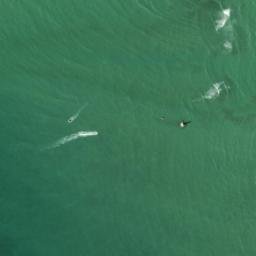 Satellite imagery of Pedra Seca, BR