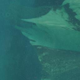 Satellite imagery of Ras Murundo, TZ