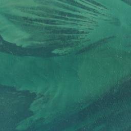 Satellite imagery of Ras Murundo, TZ