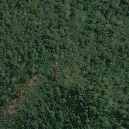 Satellite imagery of Lossumba, AO