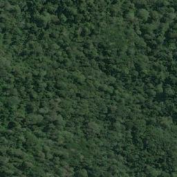 Satellite imagery of Lossumba, AO