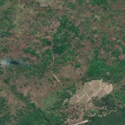 Satellite imagery of Ras Punguyuni, TZ
