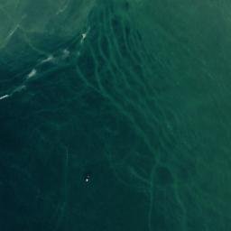 Satellite imagery of Punta El Torito, PE