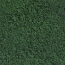 Satellite imagery of Camissongue, AO