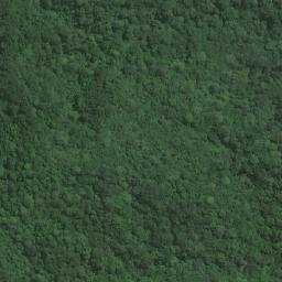 Satellite imagery of Camissongue, AO