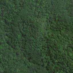 Satellite imagery of Camissongue, AO