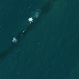 Satellite imagery of Ponta do Miaí, BR