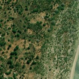 Satellite imagery of Ras Msangamkuu, TZ