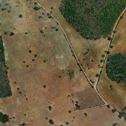 Satellite imagery of Fazenda Aracas, BR