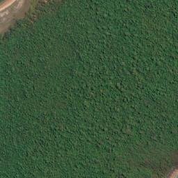 Satellite imagery of Cape Croker, AU