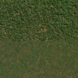 Satellite imagery of Gombo, AO