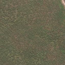 Satellite imagery of Midjari Point, Cobourg, AU
