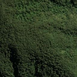Satellite imagery of Cerro Rico Monte, PE