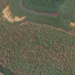Satellite imagery of Lingi Point, AU