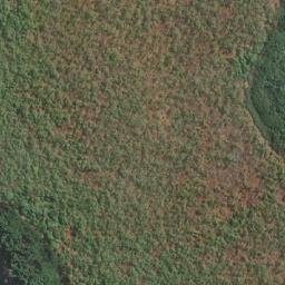 Satellite imagery of Lingi Point, AU