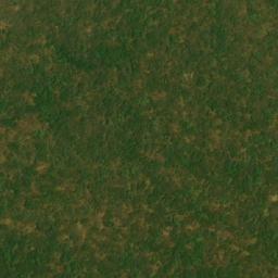 Satellite imagery of Ngila, AO