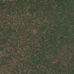 Satellite imagery of Gningarg Point, AU
