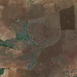 Satellite imagery of Dengue, AO