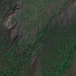 Satellite imagery of Mangrove Point, AU