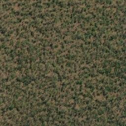 Satellite imagery of Mount Walter, AU