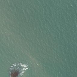 Satellite imagery of Braithwaite Point, AU