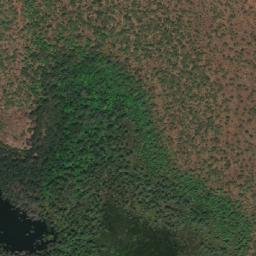 Satellite imagery of Mangrove Bluff, AU