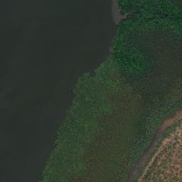 Satellite imagery of Mangrove Bluff, AU