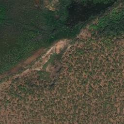 Satellite imagery of Mangrove Bluff, AU