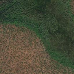Satellite imagery of Mangrove Bluff, AU