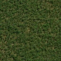 Satellite imagery of Cacoloama, AO