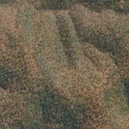 Satellite imagery of Mount Masson, AU