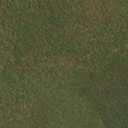 Satellite imagery of Cola, AO