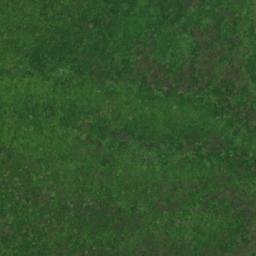 Satellite imagery of Piumafua Mountain, AS