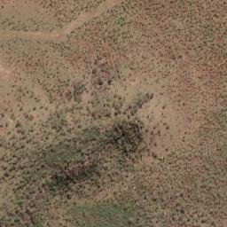 Satellite imagery of Whamelk Bluff, AU