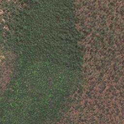 Satellite imagery of Pearce Point, AU