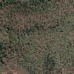 Satellite imagery of Walsh Point, AU