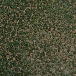 Satellite imagery of Cacombo, AO