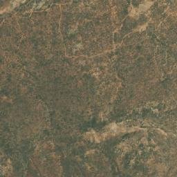 Satellite imagery of Zebras, AO