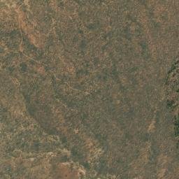 Satellite imagery of Zebras, AO