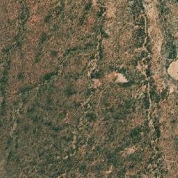 Satellite imagery of Zebras, AO