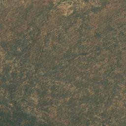 Satellite imagery of Zebras, AO