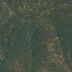 Satellite imagery of Zebras, AO