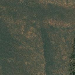 Satellite imagery of Zebras, AO