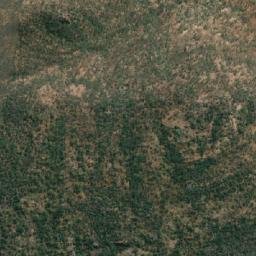 Satellite imagery of Zebras, AO